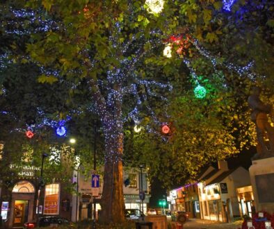 Stone Christmas Tree Lights