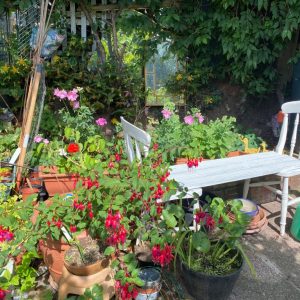 Allotment Competition Judging