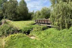 Crown Meadow - Access footbridge from the Stafford Road access point